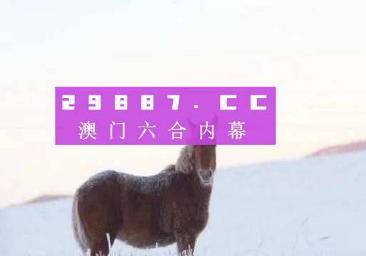 澳门4949资料最经典的一句与最佳精选解释落实探讨