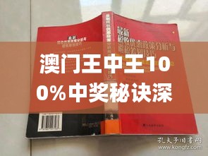 新澳门王中王期期解析与文明解释的落实策略