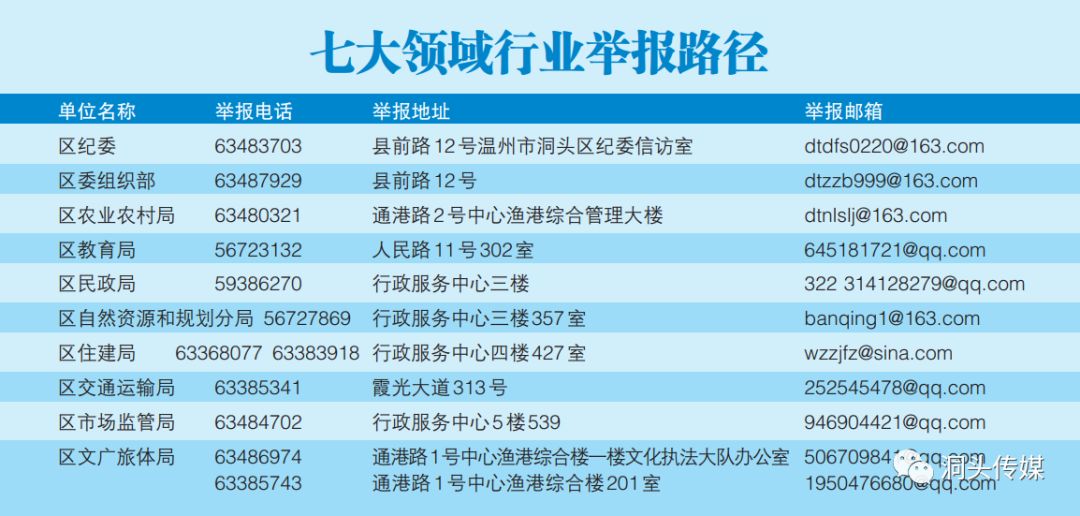 最新洞头新闻，洞头区的发展动态与社会热点