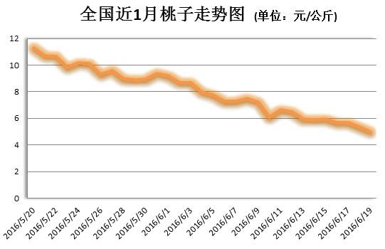 桃子最新价格分析，市场趋势、品种差异与影响因素