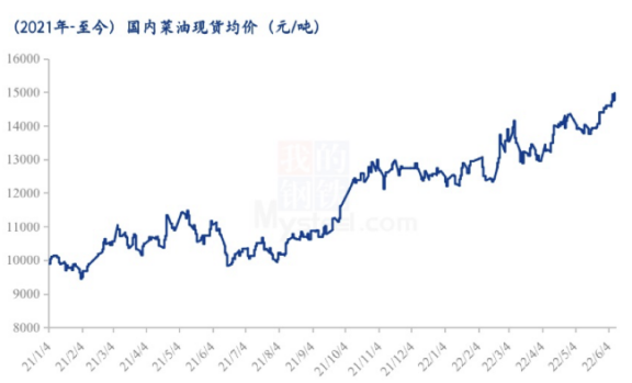 最新菜籽价格动态分析