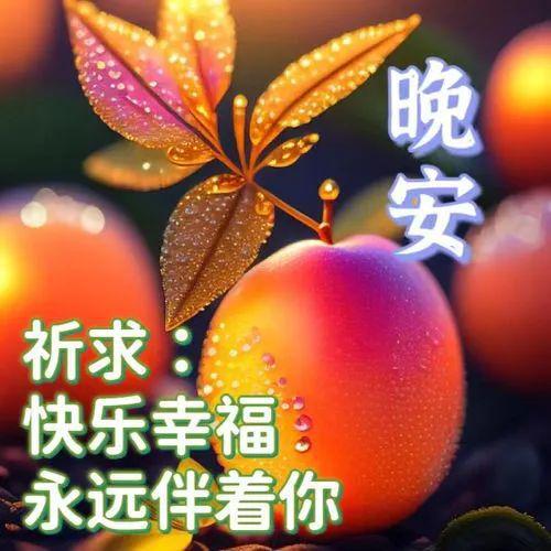 最新晚安短语，夜的温馨问候与美好祝愿