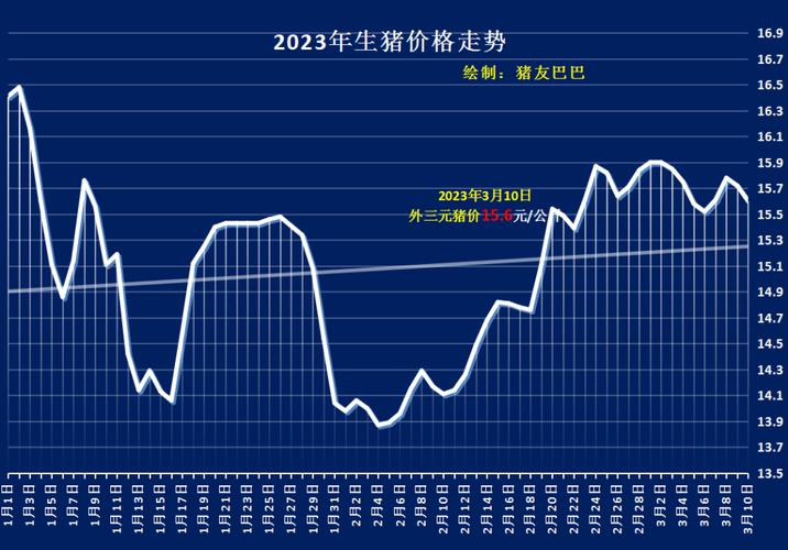 最新猪价动态分析，今日市场走势及未来展望