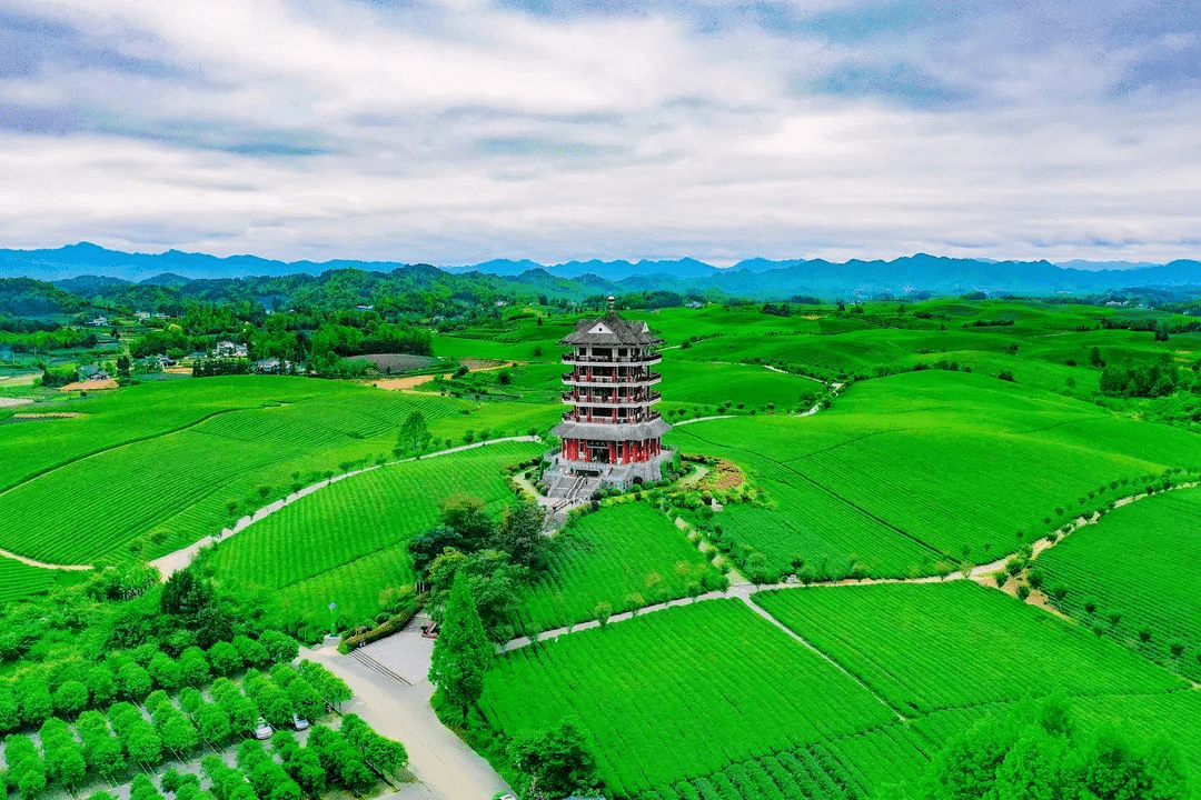 湄潭最新新闻综述，县域发展新动态