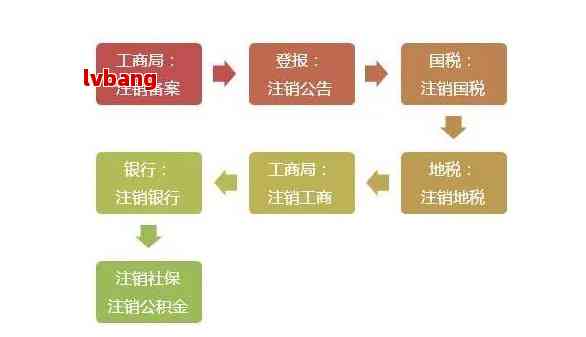 最新工商注册，流程、政策与趋势分析