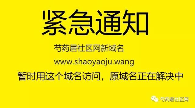 最新域名紧急大通知，理解与应对的关键措施