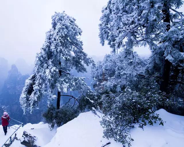 雪球计划下的韩国综艺新篇章