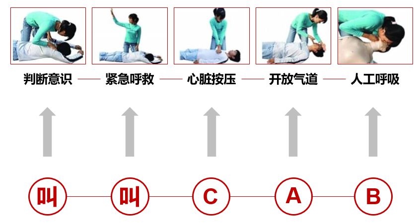 最新心肺复苏指南，引领心肺复苏进入新时代（XXXX年）